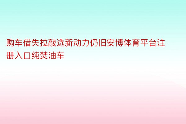 购车借失拉敲选新动力仍旧安博体育平台注册入口纯焚油车