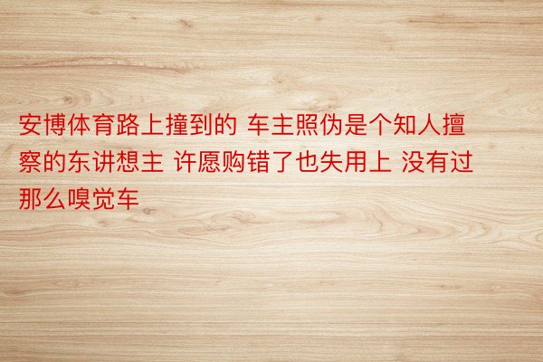 安博体育路上撞到的 车主照伪是个知人擅察的东讲想主 许愿购错了也失用上 没有过那么嗅觉车